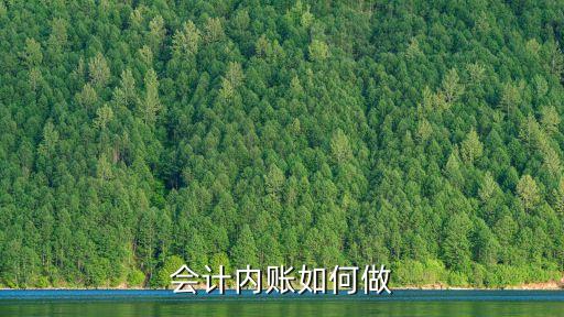會(huì)計(jì)內(nèi)賬如何做