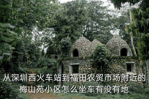 從深圳西火車站到福田農(nóng)貿(mào)市場附近的梅山苑小區(qū)怎么坐車有沒有地