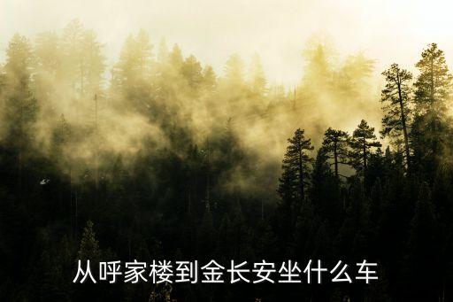 金長(zhǎng)安，金長(zhǎng)安大廈是哪個(gè)開(kāi)發(fā)商開(kāi)發(fā)的