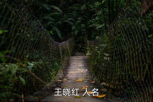 王曉紅 人名