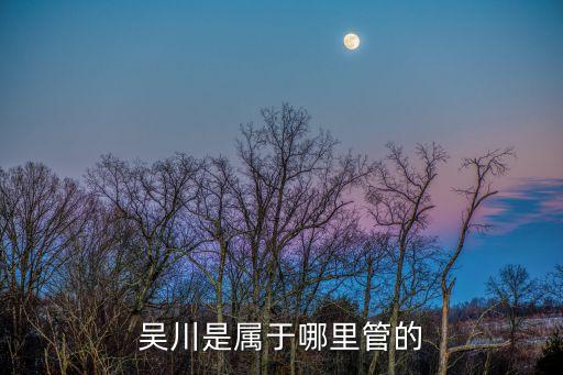 吳川是屬于哪里管的