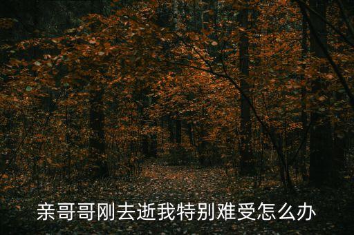 親哥哥剛?cè)ナ盼姨貏e難受怎么辦