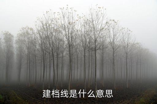 建檔分?jǐn)?shù)線，建檔線是什么意思