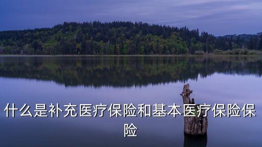 補(bǔ)充醫(yī)療，什么是補(bǔ)充醫(yī)療保險(xiǎn)