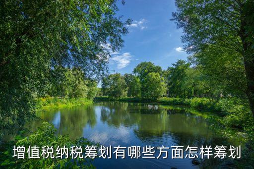 增值稅納稅籌劃有哪些方面怎樣籌劃