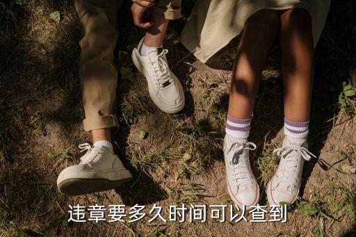 扣分幾天能查到，違章一般要多久時(shí)間能查到