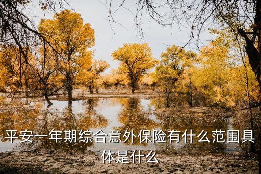 平安一年期綜合意外保險有什么范圍具體是什么