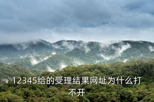12345給的受理結果網址為什么打不開
