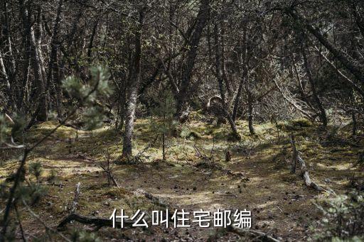 什么叫住宅郵編