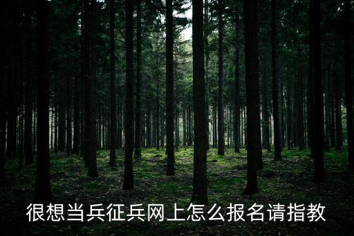 網(wǎng)上報名當兵，當兵怎么網(wǎng)上報名