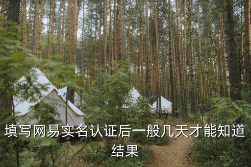 網(wǎng)易支付實名認(rèn)證，填寫網(wǎng)易實名認(rèn)證后一般幾天才能知道結(jié)果