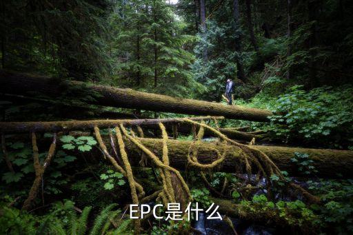 什么叫epc項目，EPC項目是什么工程能具體說明嗎