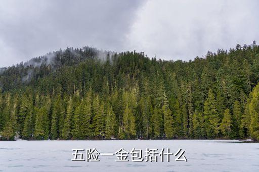 五險一金有什么，什么是五險一金