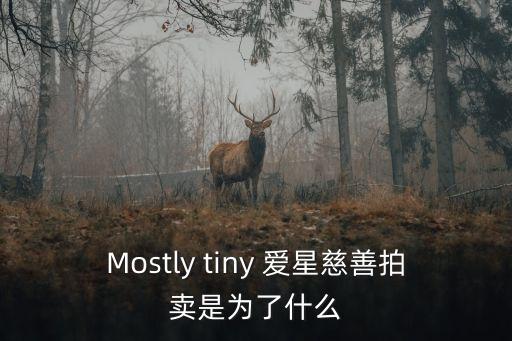 Mostly tiny 愛星慈善拍賣是為了什么