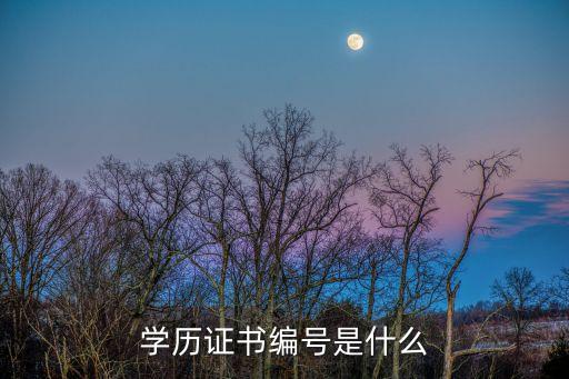 畢業(yè)證書編號，如何查詢畢業(yè)證編號