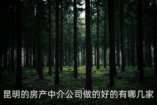 昆明的房產(chǎn)中介公司做的好的有哪幾家