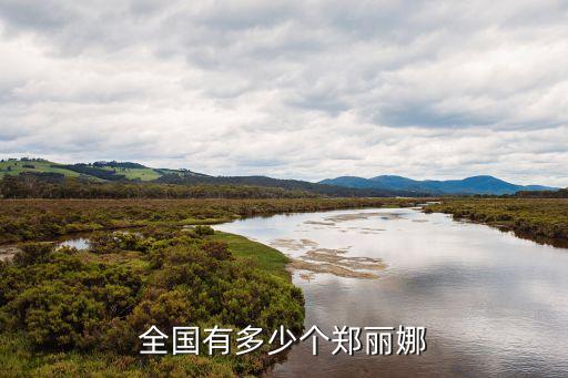 全國有多少個鄭麗娜