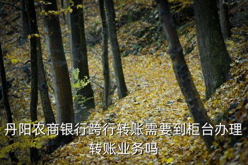 丹陽農(nóng)商銀行，丹陽農(nóng)商銀行跨行轉(zhuǎn)賬需要到柜臺(tái)辦理轉(zhuǎn)賬業(yè)務(wù)嗎