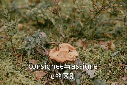 consignee與assignee的區(qū)別