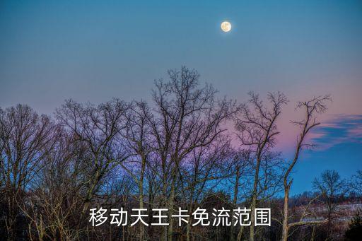 移動天王卡，移動天王卡免流范圍
