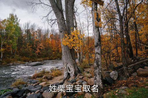 姓栗寶寶取名