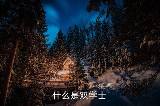 什么是雙學(xué)士