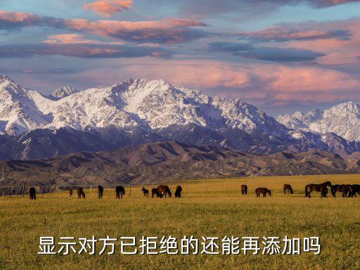 顯示對方已拒絕的還能再添加嗎