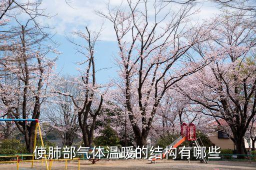 曾捷，使肺部氣體溫暖的結構有哪些