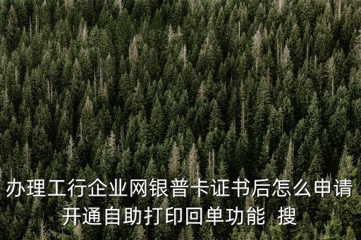 辦理工行企業(yè)網(wǎng)銀普卡證書后怎么申請開通自助打印回單功能  搜