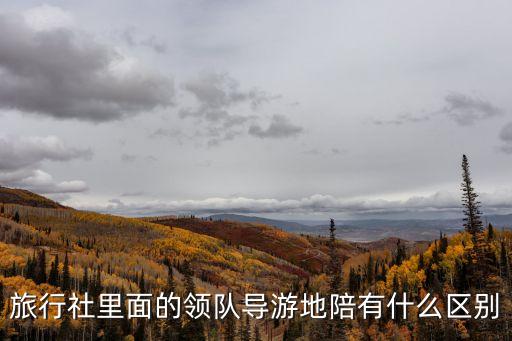 旅行社里面的領隊導游地陪有什么區(qū)別