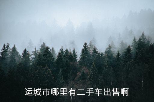 運(yùn)城市哪里有二手車出售啊