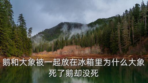 鵝和大象被一起放在冰箱里為什么大象死了鵝卻沒(méi)死