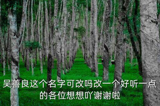 吳善良這個名字可改嗎改一個好聽一點的各位想想吖謝謝啦
