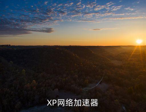 橡樹加速器，哪個(gè)加速器好用延遲要低的才行