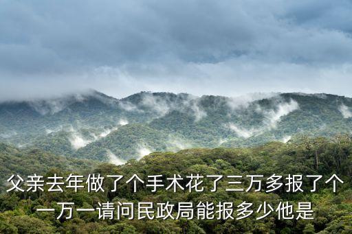 父親去年做了個(gè)手術(shù)花了三萬(wàn)多報(bào)了個(gè)一萬(wàn)一請(qǐng)問民政局能報(bào)多少他是