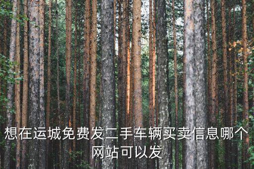 運(yùn)城二手車，運(yùn)城市哪里有二手車出售啊