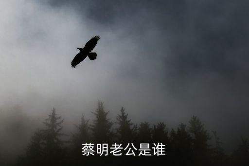 蔡明的丈夫，蔡明老公是誰