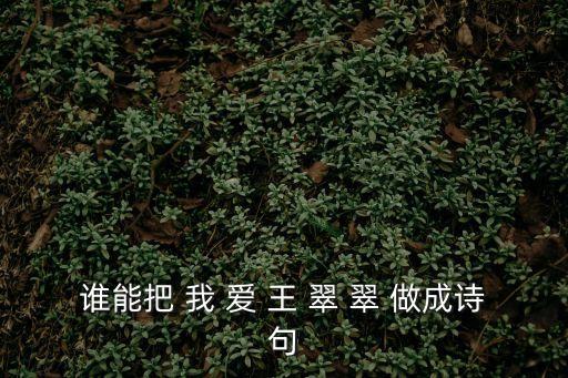 誰(shuí)能把 我 愛(ài) 王 翠 翠 做成詩(shī)句