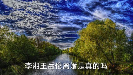 王岳倫離婚，李湘王岳倫承認(rèn)離婚一