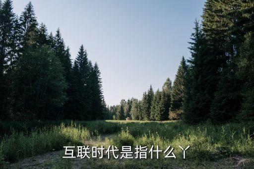互聯(lián)，互聯(lián)短信 是意思