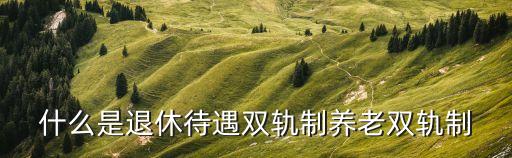 什么是退休待遇雙軌制養(yǎng)老雙軌制