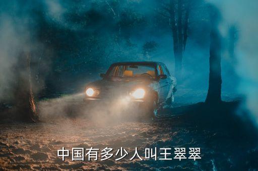 中國(guó)有多少人叫王翠翠