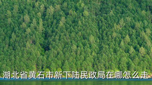 黃石市民政局，湖北省黃石市新下陸民政局在哪怎么走