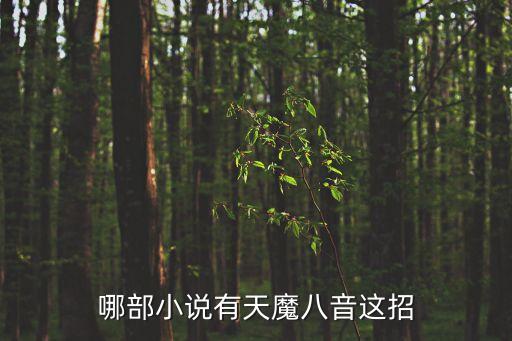哪部小說有天魔八音這招