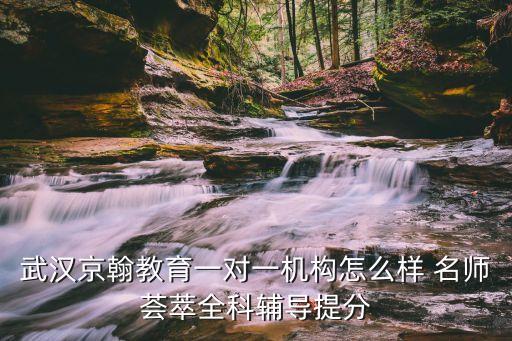 武漢京翰教育一對一機(jī)構(gòu)怎么樣 名師薈萃全科輔導(dǎo)提分