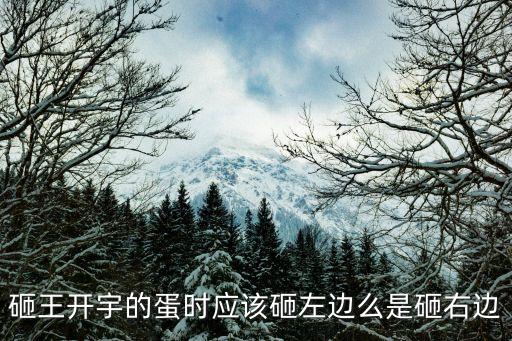 王開宇，砸王開宇的蛋時應該砸左邊么是砸右邊