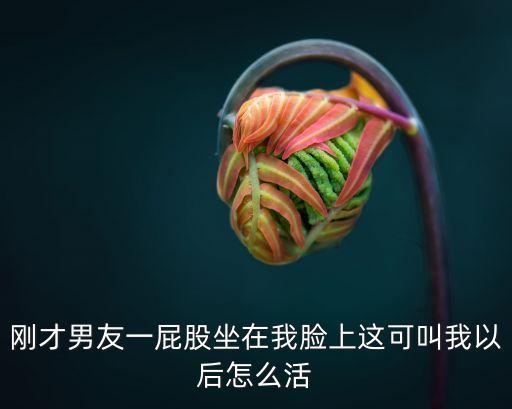 坐我臉上，坐臉上拉屎服務(wù)