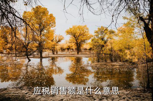 應(yīng)稅銷售額是什么意思