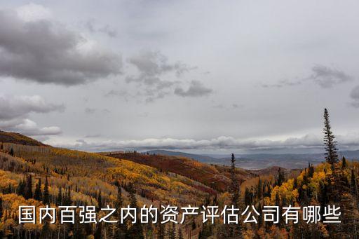 國內(nèi)百強之內(nèi)的資產(chǎn)評估公司有哪些