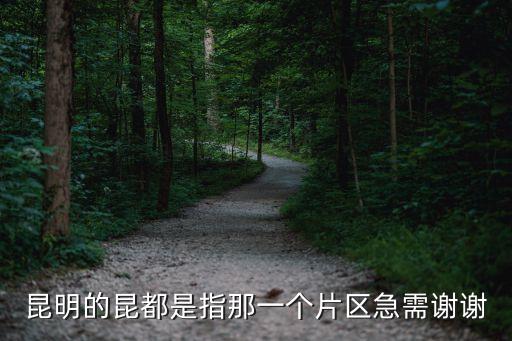 昆明的昆都是指那一個片區(qū)急需謝謝